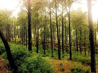 Kotli Satiyan on way to Lehtrar Road towards Murree 10 Pakistan